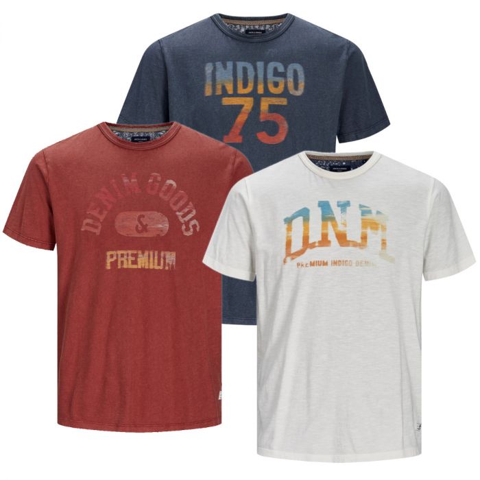 JACK & JONES CHARLES T-SHIRTS